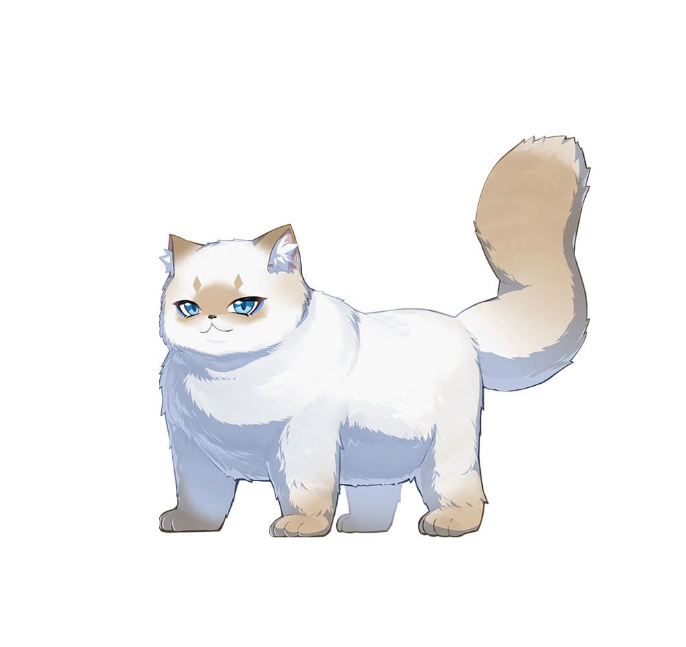 《貓之城》1.7版本PV：深淵的迴響！「千術」超可愛全新喜馬拉雅貓！