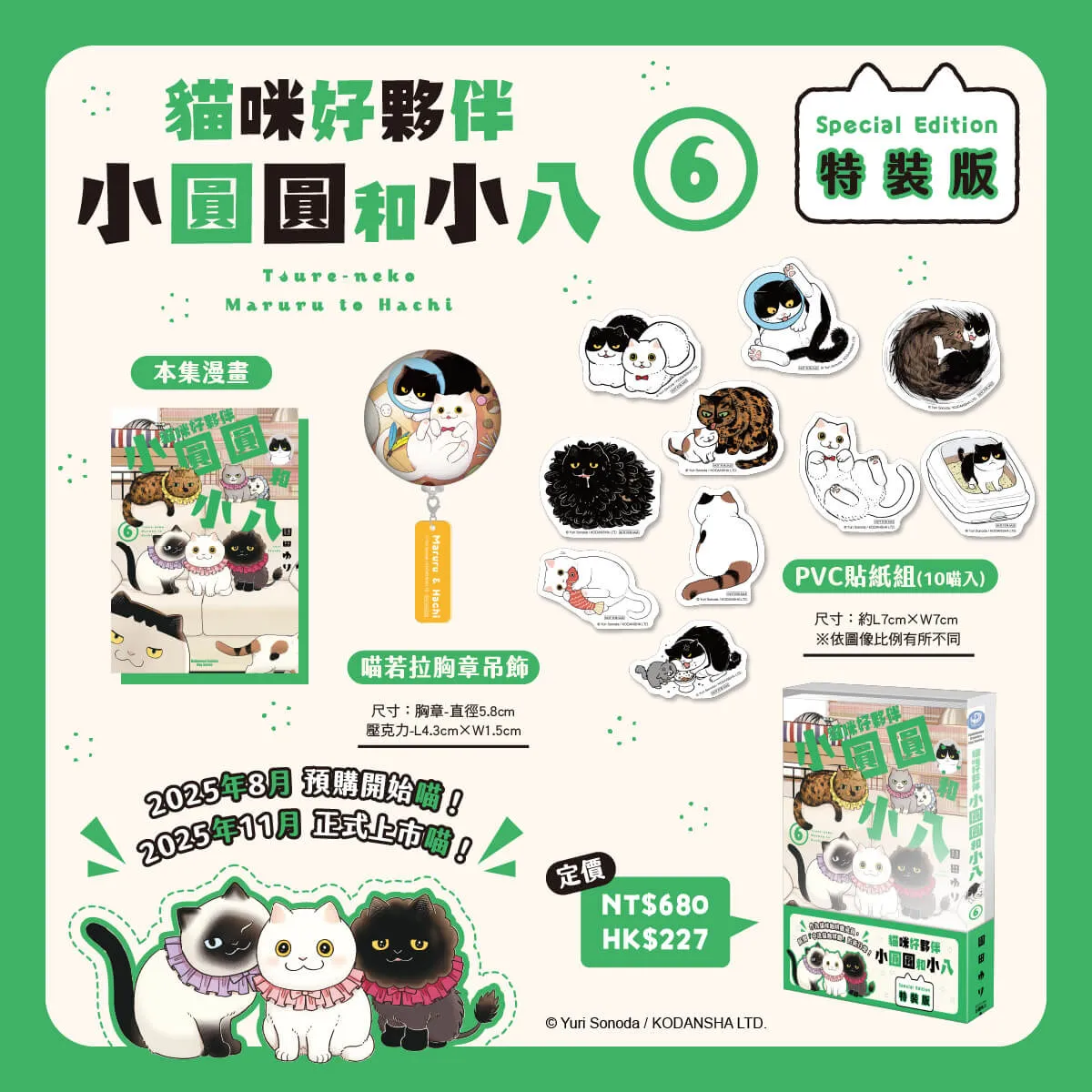 《貓咪好夥伴小圓圓和小八（6）》特裝版