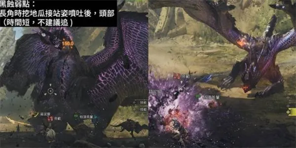 魔物獵人荒野 全9星魔物弱點對策方式