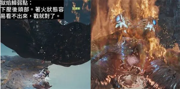 魔物獵人荒野 全9星魔物弱點對策方式