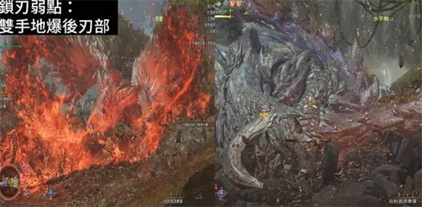 魔物獵人荒野 全9星魔物弱點對策方式