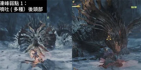 魔物獵人荒野 全9星魔物弱點對策方式